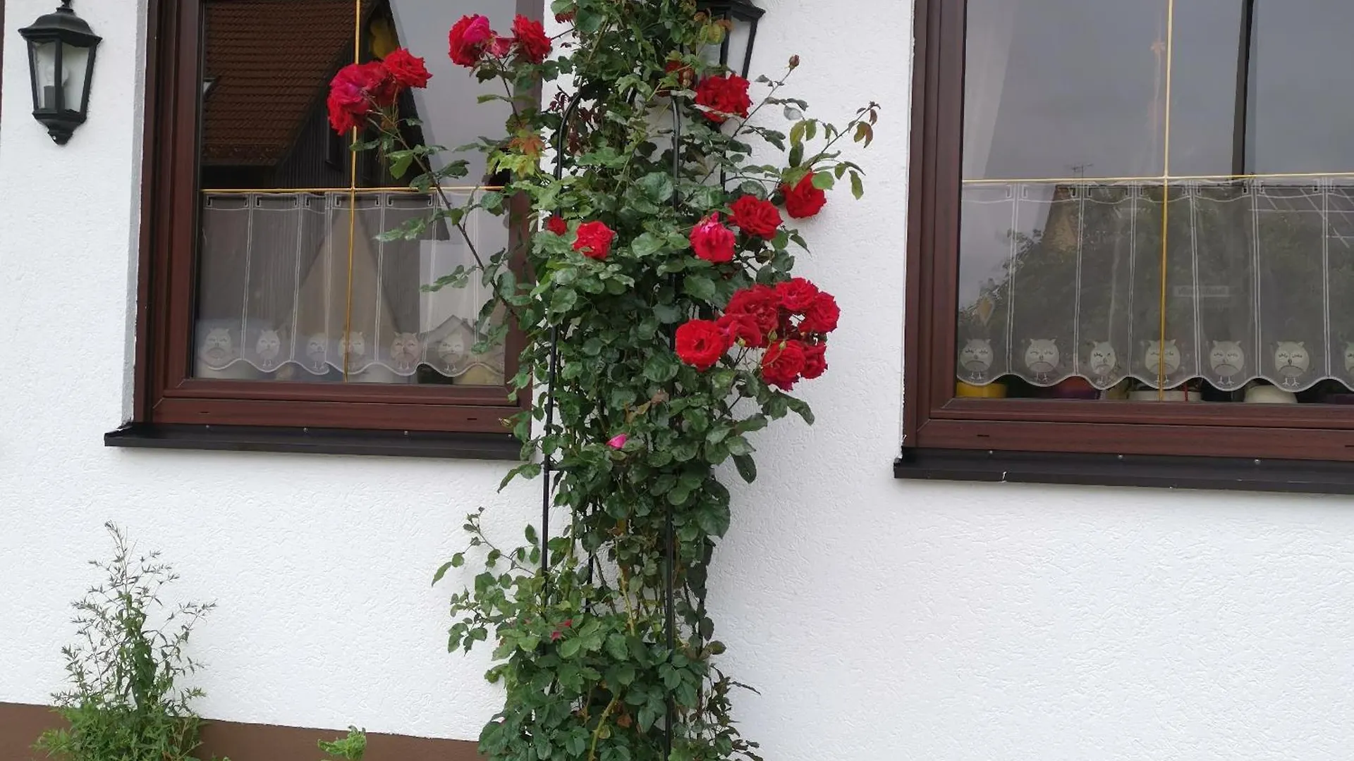 Frankenstube-Winkelhaid 0*, Winkelhaid Germany